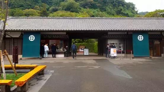 鹿儿岛与熊本,熊本县一日游超全攻略