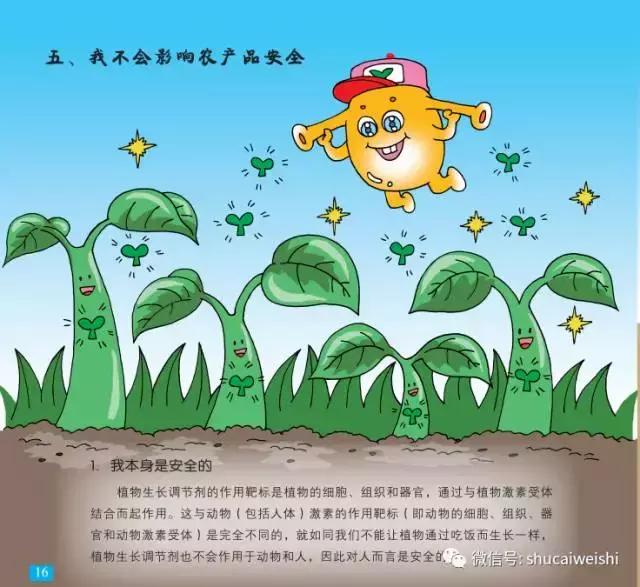 网传视频爆“黄瓜打激素吊瓶”内幕，是真的吗？