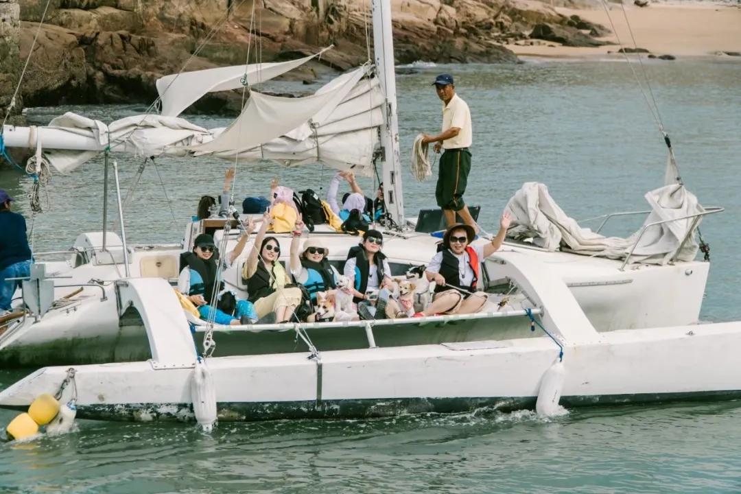 带着十一只狗狗去旅行,带着四只狗狗去旅行