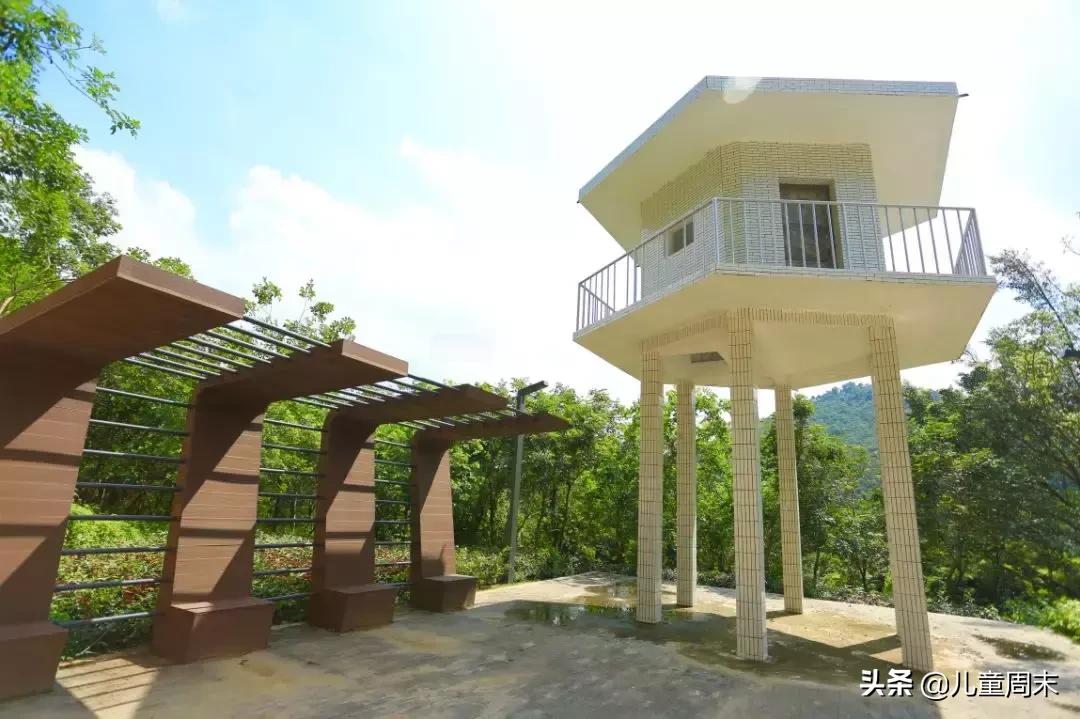 淘金山绿道晚上图片,淘金山绿道深圳罗湖网红