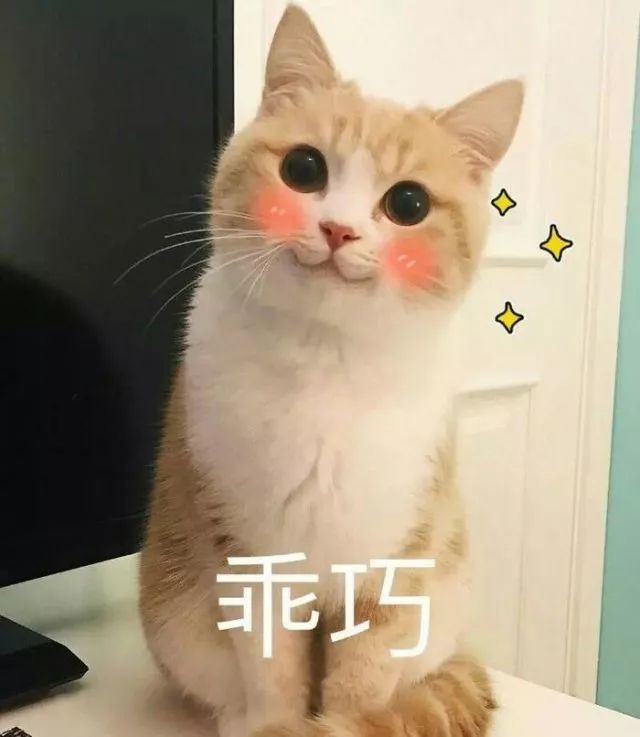 澳洲值得带的东西有哪些,澳洲有啥值得买的东西