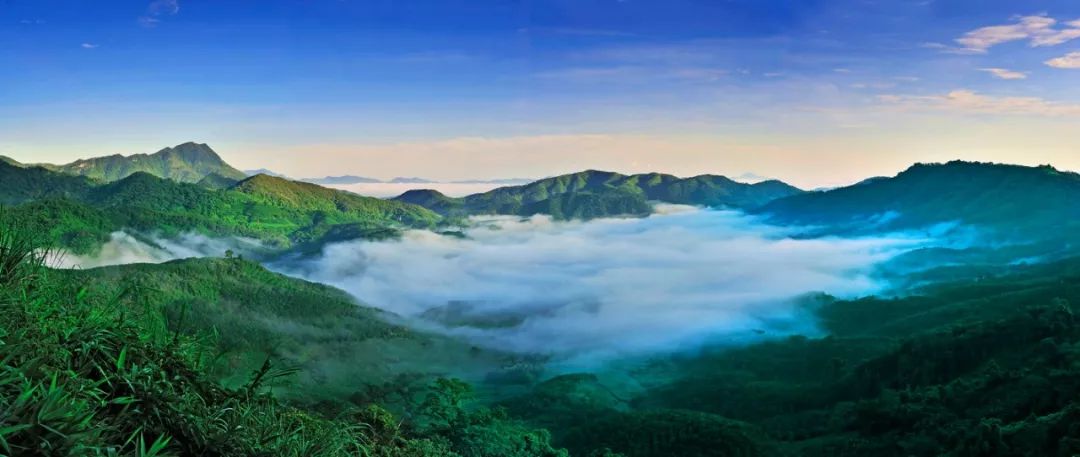 海南的优美环境,海南的环境美吗