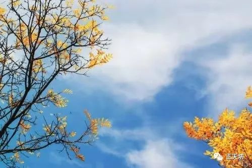 吴潮彬：在成语中品读秋天