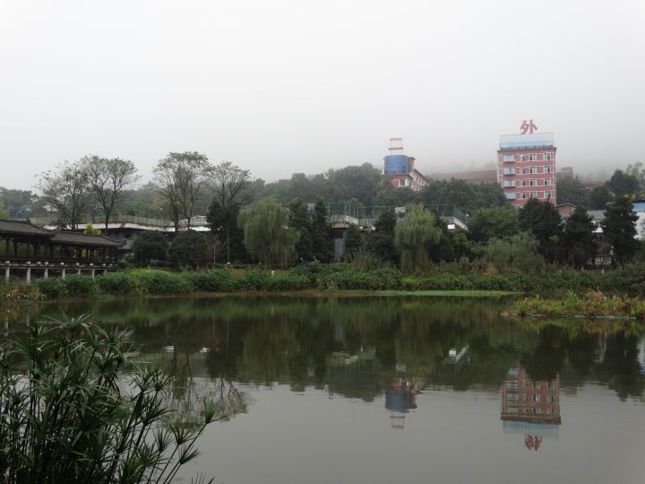 重庆哪所学校环境最好,重庆最美学校