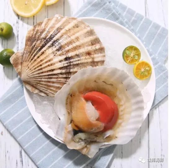 新鲜海鲜保存是冷冻好还是冷藏好,海鲜是煮熟了保存还是生的保存