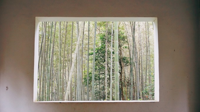 杭州西湖乌镇苏州南京上海攻略,天青色等烟雨乌镇旅游