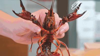 小龙虾配冰西瓜,急诊欢迎你我他!夏天吃小龙虾,警惕“龙虾病”