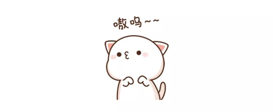 铲屎官旅游小猫咪开门,铲屎官出门猫咪躲床下