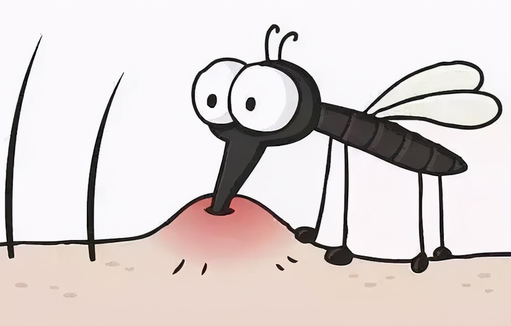 夏天如何防范蜱虫,夏季来临预防4种虫子叮咬