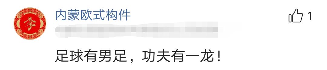 武僧一龙现在还能打吗,武僧一龙挑战李景亮对手的视频