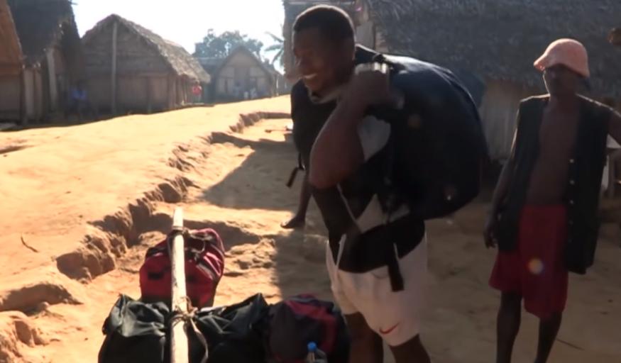 实拍非洲紫檀木*私走**全过程：护林员做*私走**，一根紫檀木赚三万