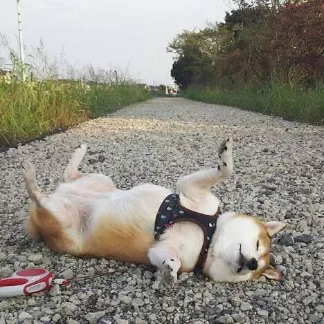 对创业者来说，接下来生意会越来越难做么？如何突围？