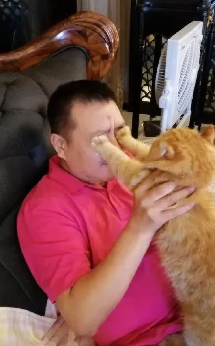 铲屎官请自重图,铲屎官请自重