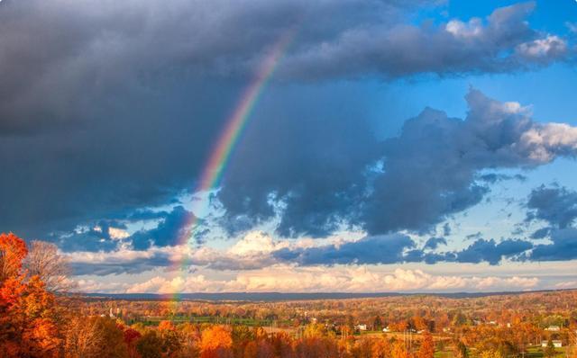 情绪调节的五步策略,合理情绪疗法四个步骤