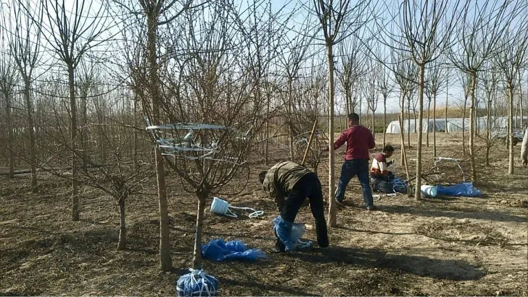 滴滴订单下滑滴滴司机何去何从,滴滴被罚滴滴司机何去何从