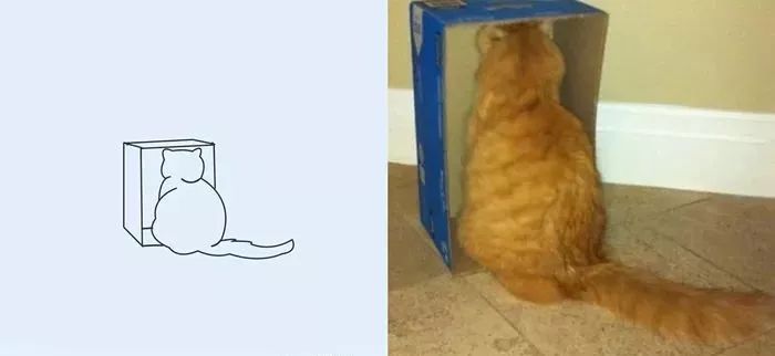 你和大触绘画的区别：一看就会一画就废，这波动物简笔画太形象了