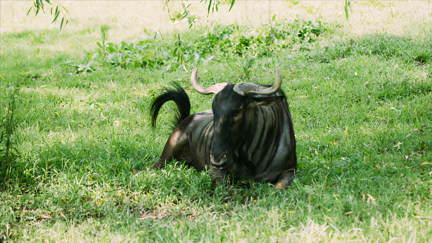 江苏扬州全面介绍,江苏省扬州市有什么区