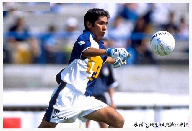 目前足坛最好的10名守门员,世界足坛最有价值的三个守门员