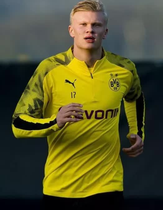 哈兰德挪威新星,哈兰德足坛十大神锋