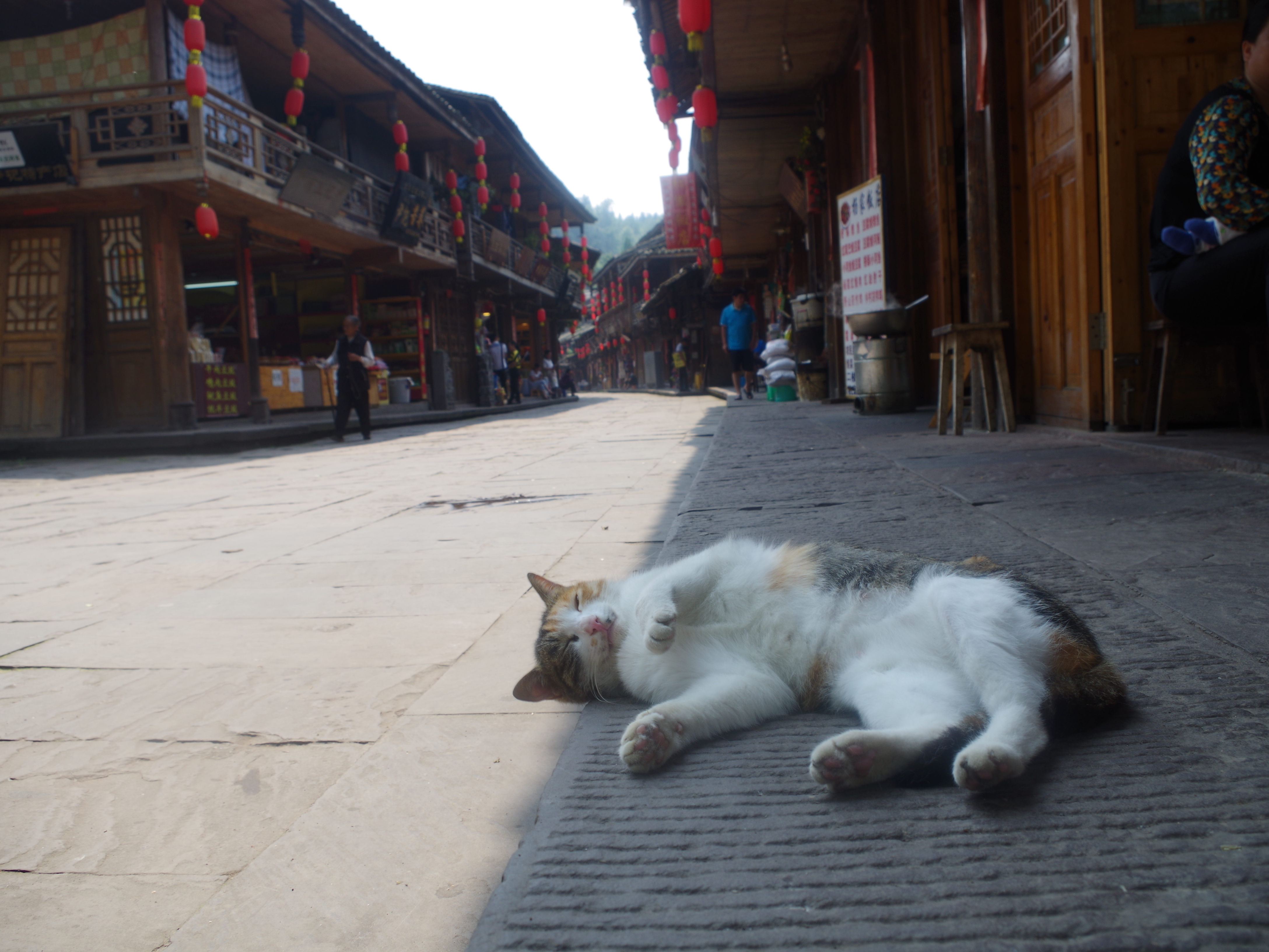 王小花的全部作品,王小花攻略