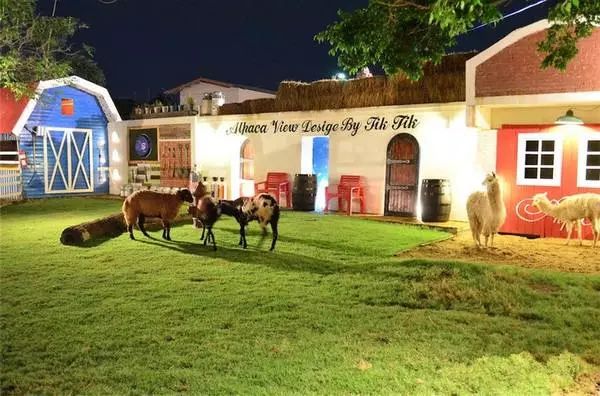 曼谷免税店必买清单,曼谷东西最全的免税店