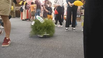 神造物用了7天，我在造物节逛了2天