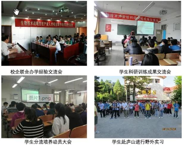 考研成功率高的985,考研成功率高的985大学