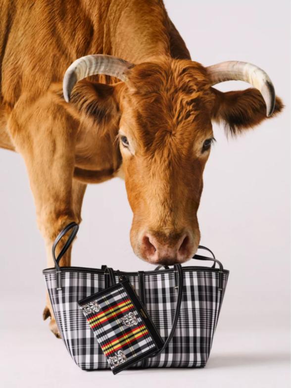 巴宝莉2024早春系列,巴宝莉2019夏季爆款