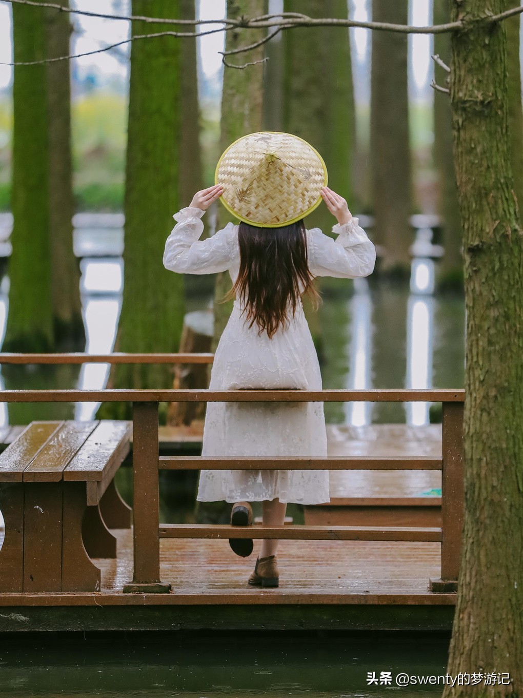 绿野仙踪越南完整版,隐藏在大山深处的绿野仙踪