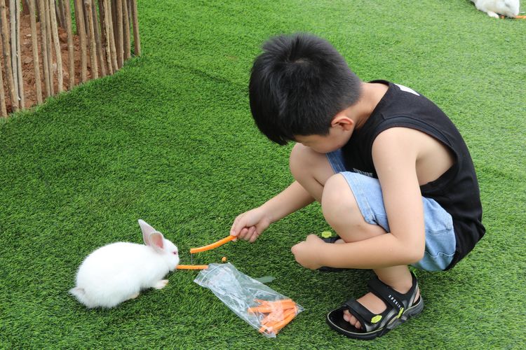 绿意绕绕一路行