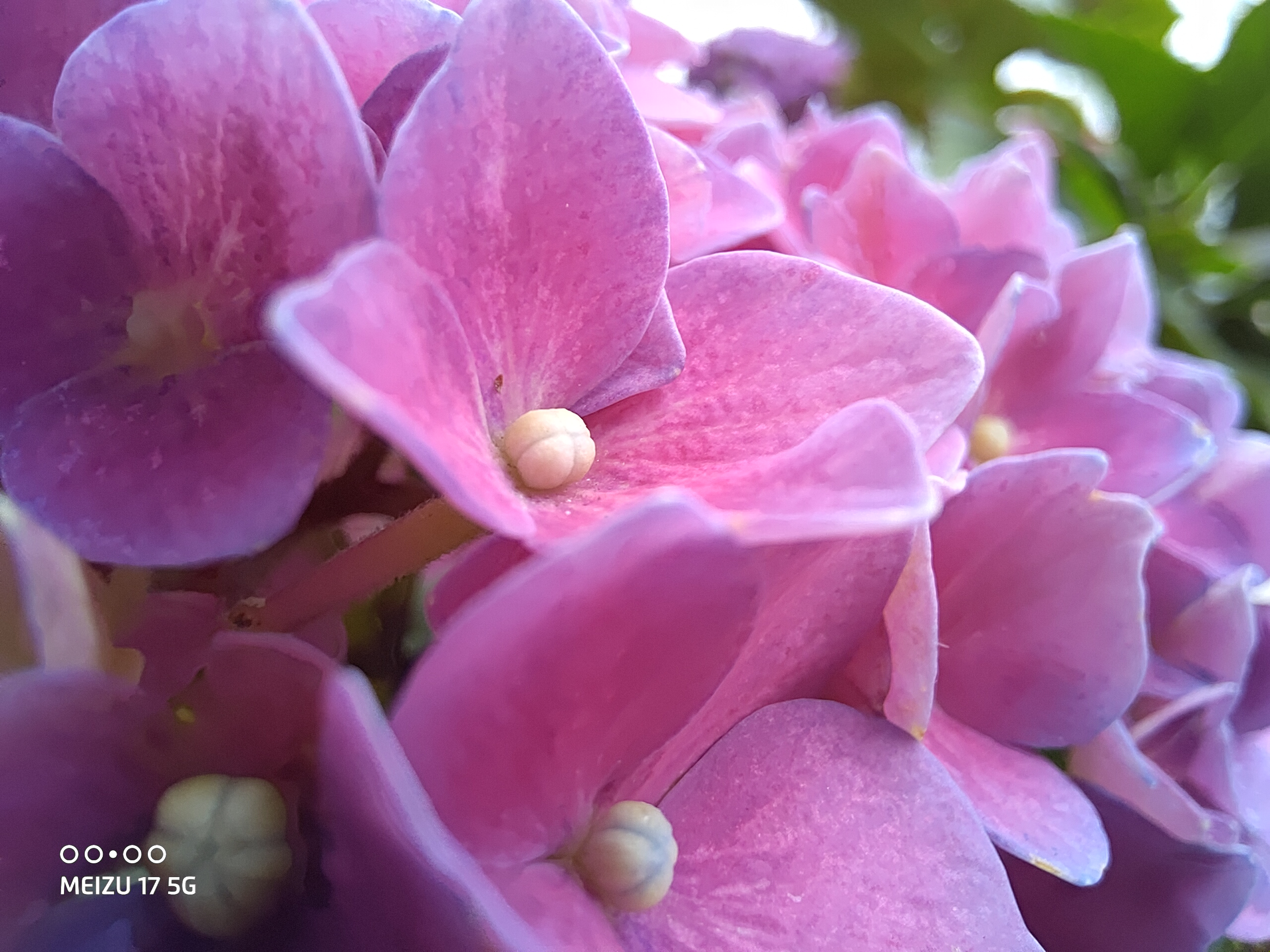 魅族17音质对比魅族16plus音质,魅族18x和魅族17pro谁更值得购买