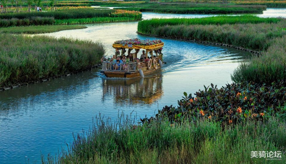 东莞麻涌美丽田园,东莞麻涌田园生活