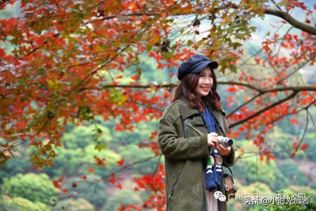 广州市从化温泉旅游区,从化温泉镇正宗硫磺温泉