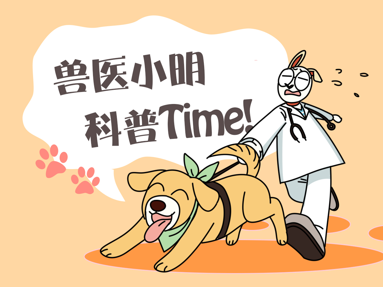 出差把乌龟放一个月可以吗,把乌龟带回家第一天该怎么办