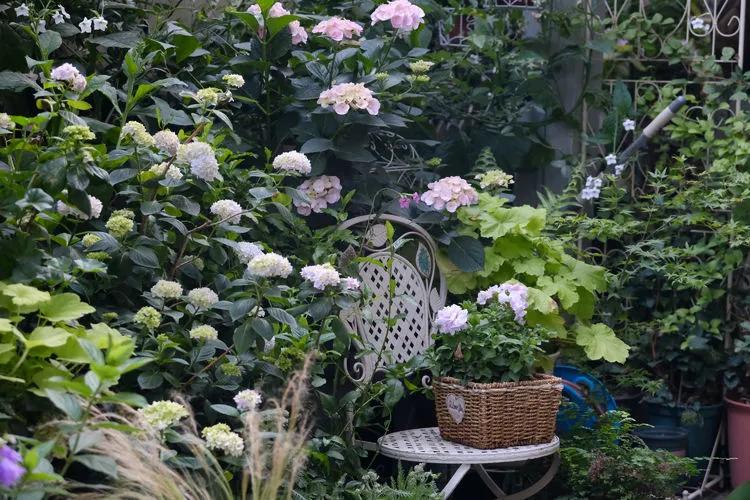 三年前买了套绿地110平三房130万,三年前耗资百万打造小院出售