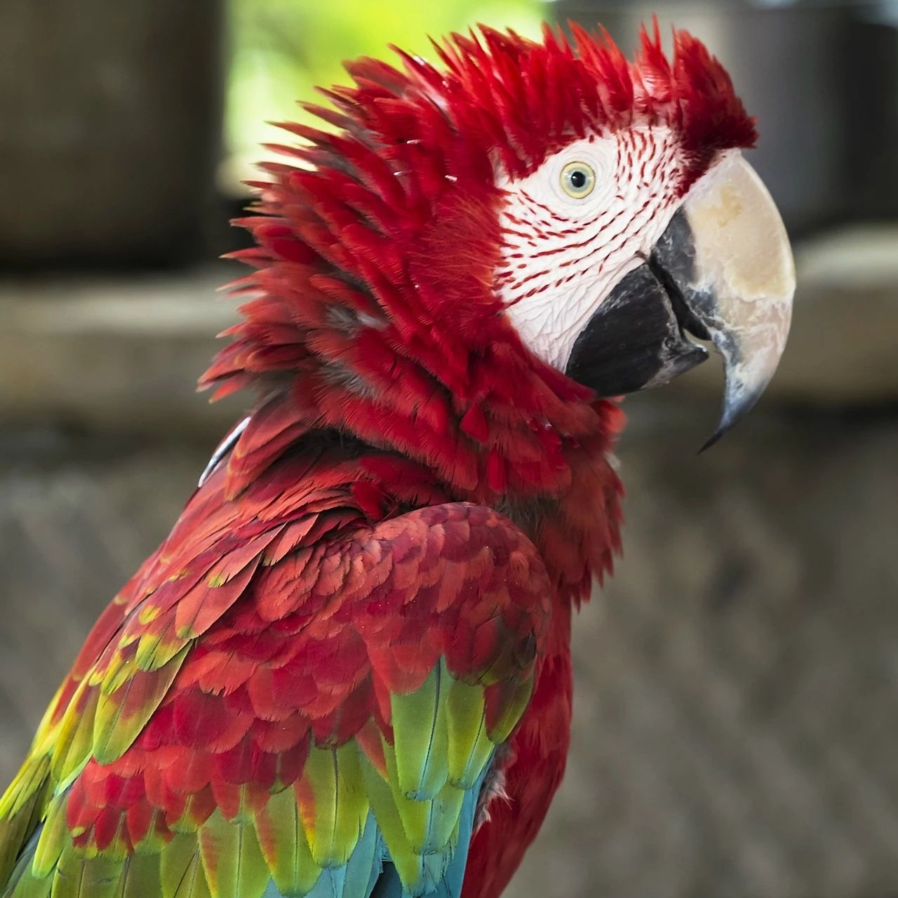 中国最神秘的王国遗址,天上王城古遗迹