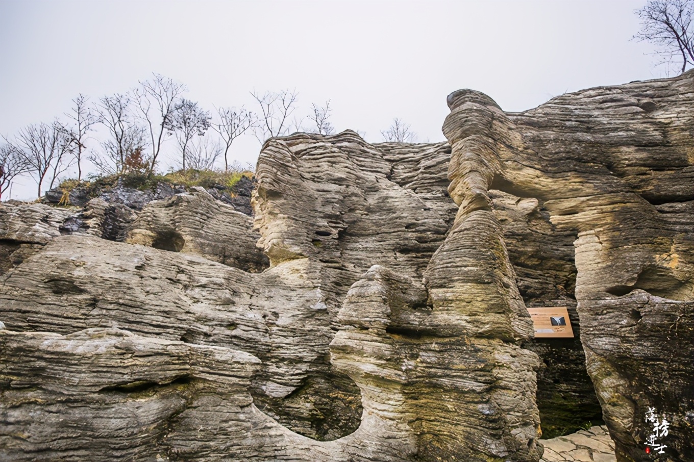 黄山西递古村落景点简介,黄山市西递古村落图片