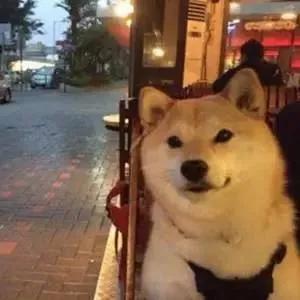 英国留学谈恋爱,英国留学生和英国人谈恋爱