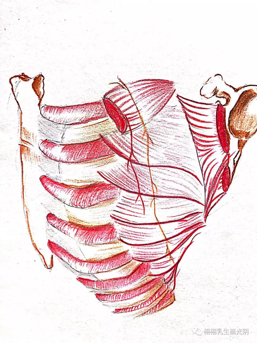 最贵的房子内部图片,最贵的房子内部