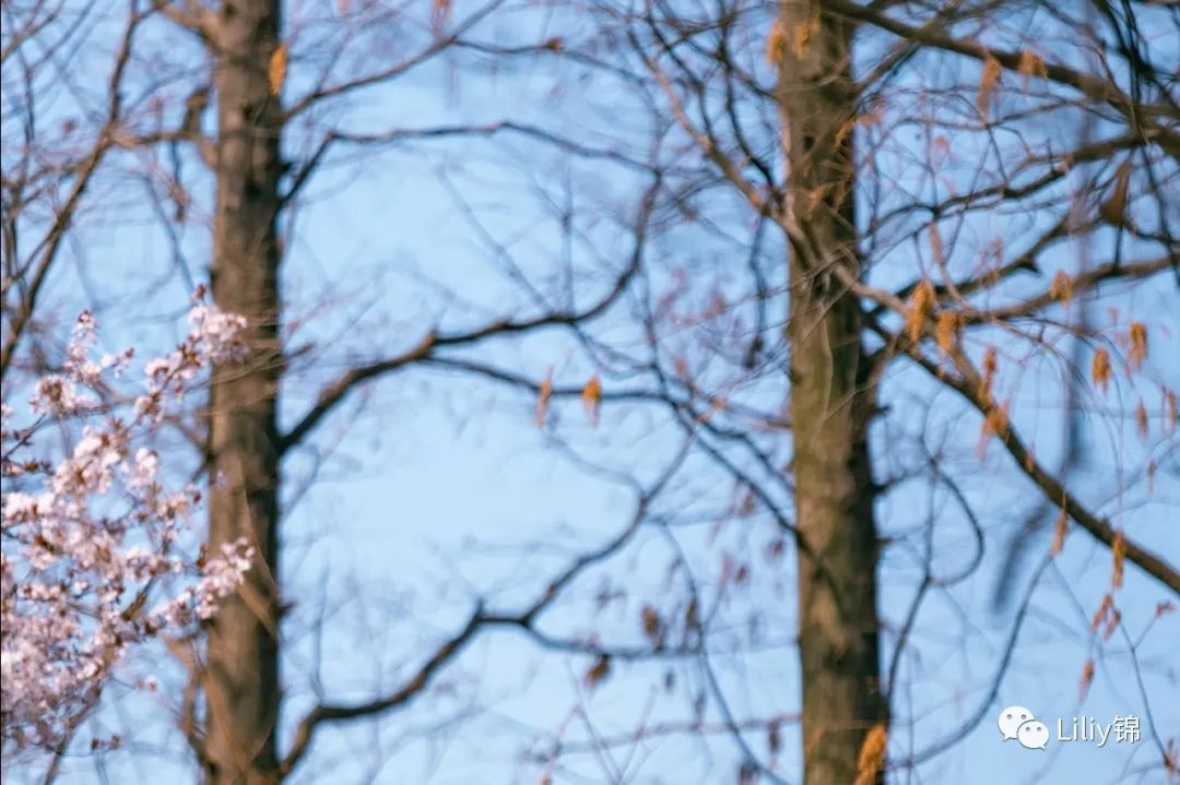 双十一购物英语感受,双十一购物感悟