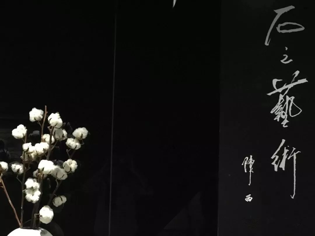 深圳红立方奇石展馆——城市中的一片自然