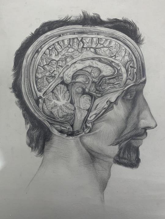 生命的故事绘本电子版,生命的故事图片