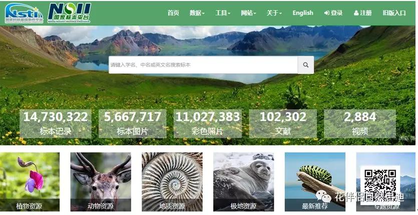 植物检索网站官网,植物检索表100种