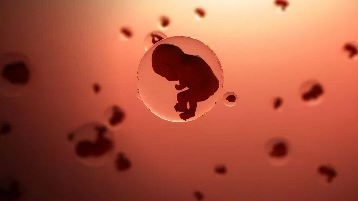 鑻卞浗濂冲瓙缃戜笂璐拱閽堢瓛,閽堢瓛浜哄伐鎺堢簿