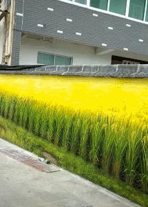 把车标全部抠掉违法吗,把车标抠下来清灰