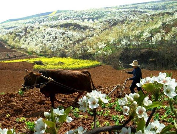 美文美图云水禅心,意境美图美文