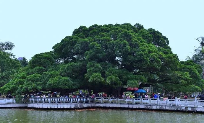 养心养肺之旅,静心养肺养心