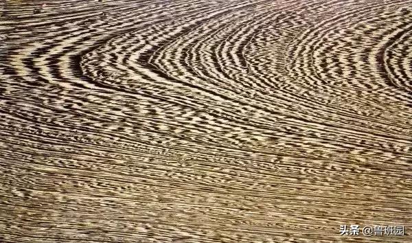 鸡翅木比较坚硬,鸡翅木轻奢