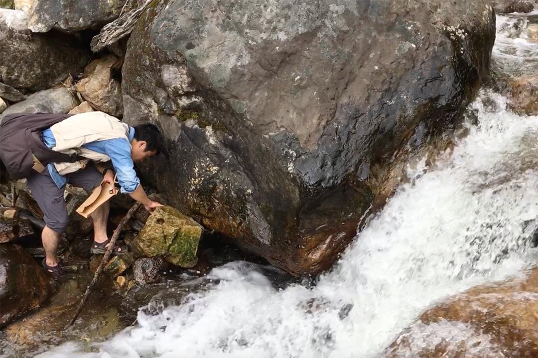 吃毒菇、睡蛇窝，只为挖一堆草，这个重庆博士要做当代神农