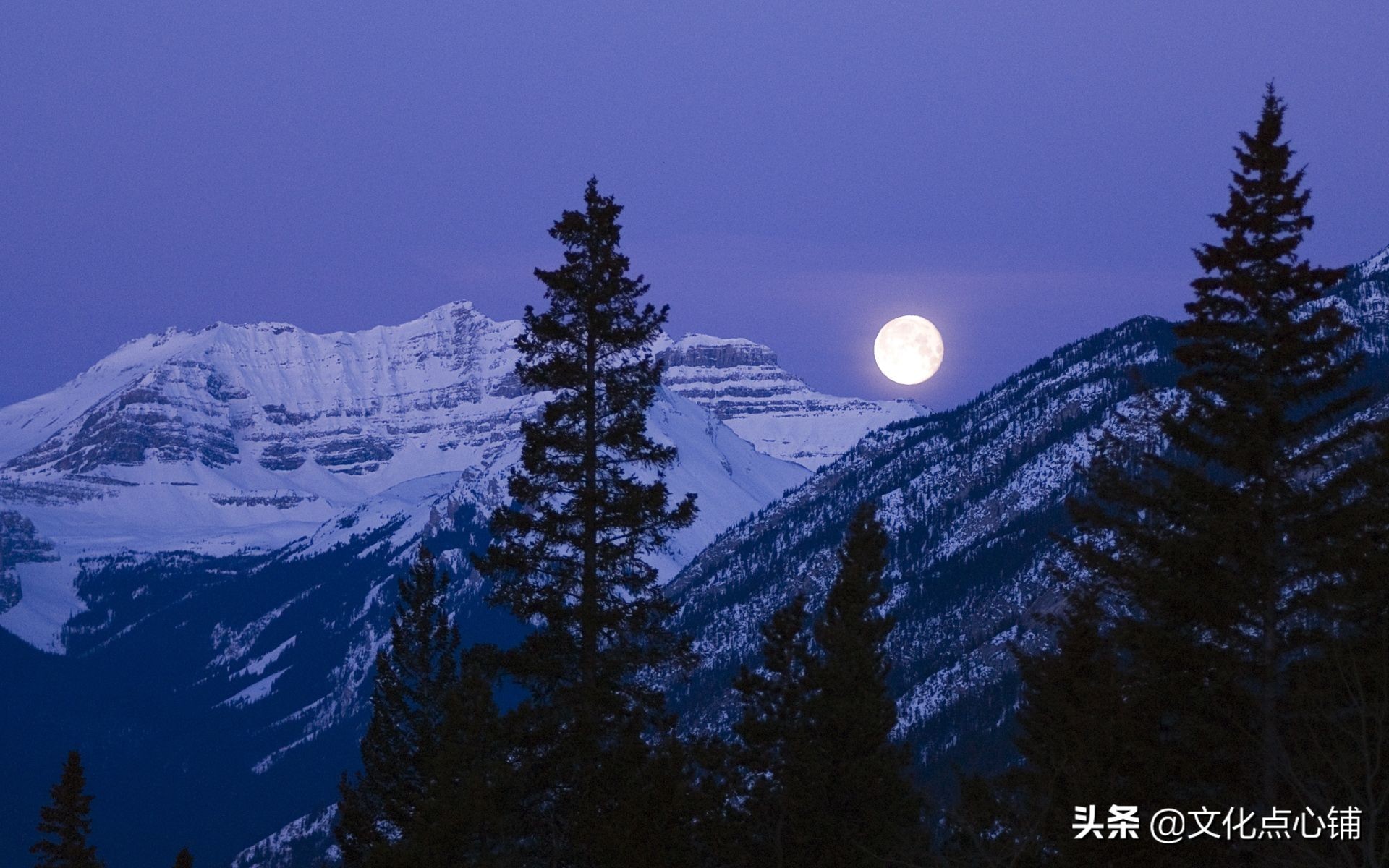 李白一首最经典的咏酒诗,李白哪一句诗句惊艳了你